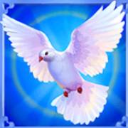 Cupid: Taube