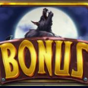 Curse of the Werewolf: Megaways: Streuung