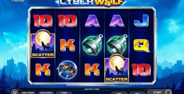 Cyber Wolf: Thema