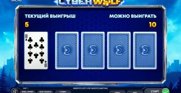 Cyber Wolf: Risiko-Spiel