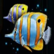 Deep Sea Fortune: Fisch