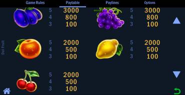Del Fruit: Auszahlungstabelle