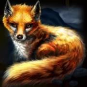 Desert Hawk: Fuchs