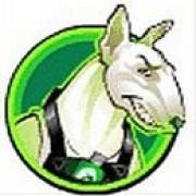 Dogfather: Bullterrier
