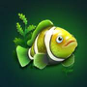 Dolphin Riches Hold and Win: Fisch