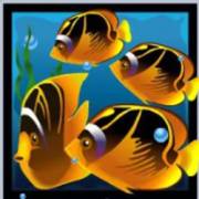 Dolphin’s Pearl: Fisch