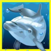 Dolphin’s Pearl: Delphin