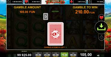Dorothy`s Fairyland: Risiko-Spiel