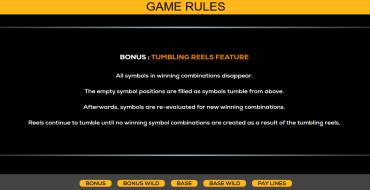 Double Da Vinci Diamonds: Bonus Spiele