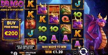 Drago: Jewels of Fortune: Schnittstelle