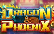 Dragon vs Phoenix