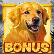 Duck Hunt 500: Bonus, Streuung