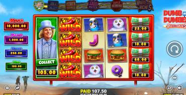 Dumb and Dumber Route to Riches: Gewinne