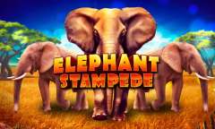 Spiel Elephant Stampede