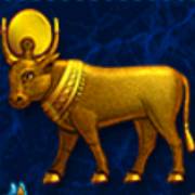 Enchanted Cleopatra: Stier