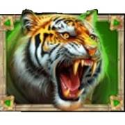 Eye of Spartacus: Tiger