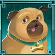 Fat Banker: Mops