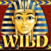 Wild Zeichen in Egyptian Sands