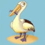 Fishin Frenzy: Möwe