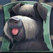 Flodder: Hund