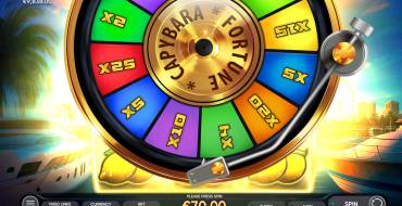 Fortune Capybara: Bonus Spiele
