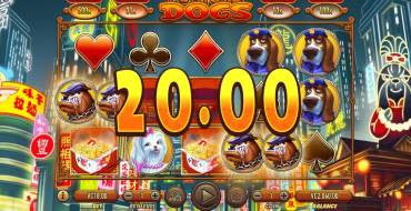 Fortune Dogs: Schnittstelle des Steckplatzes
