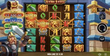 Fortune Fortress: Wild-Symbol