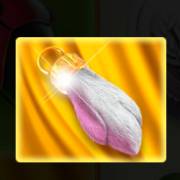 Fortune Teller's Charm 6: Pfote