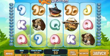 Foxy Fortunes: Besondere Elemente