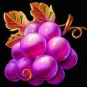 Fruit Blaze: Weintrauben