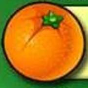 Fruit Fiesta 5 Reel - Progressive: Orange