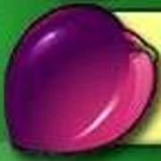 Fruit Fiesta 5 Reel - Progressive: Pflaume