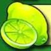 Fruit Fiesta 5 Reel - Progressive: Limette