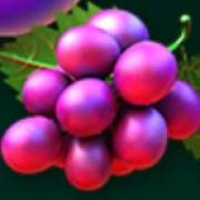 Fruit Loop: Weintrauben