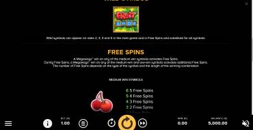 Fruit Shop Megaways: Regeln