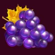Fruits & Gold: Weintrauben