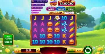 Giga Match Bunny: Spielautomat