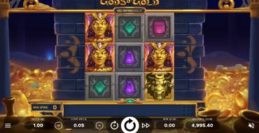 Gods of Gold InfiniReels: Schnittstelle