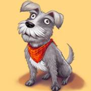 Gold Strike Bonanza Fortune Play: Hund