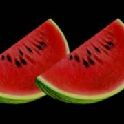 Great 27: Wassermelone