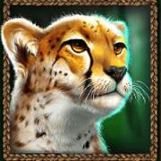 Great Rhino Megaways: Gepard