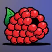 Hold4Timer: Himbeeren