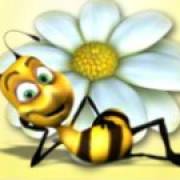Honey Buziness: Eine Biene mit einer Blume