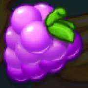 Hop N Pop: Himbeere