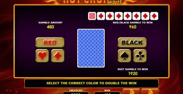 Hot Choice Deluxe: Risiko-Spiel