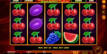 Hot Fruits 20 Cash Spins: Spielautomat