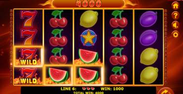 Hot Fruits 40: Gewinne