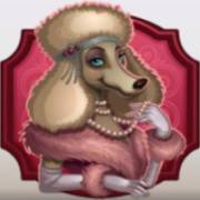 Hound Hotel: Ein Schäferhund mit einem Halsband
