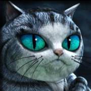 House of Fun: Katze