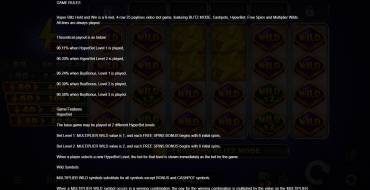 Hyper Blitz Hold and Win: Regeln